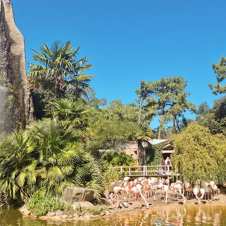 Ferienhaus In Saint-Martin-de-Ré