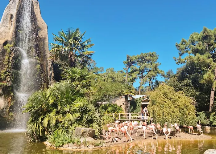 Дом отдыха In Сен-Мартен-де-Ре