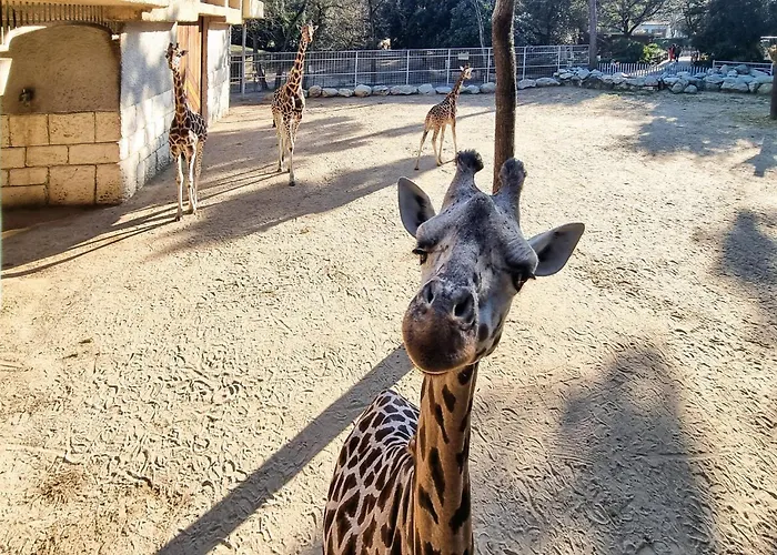 In Дом отдыха