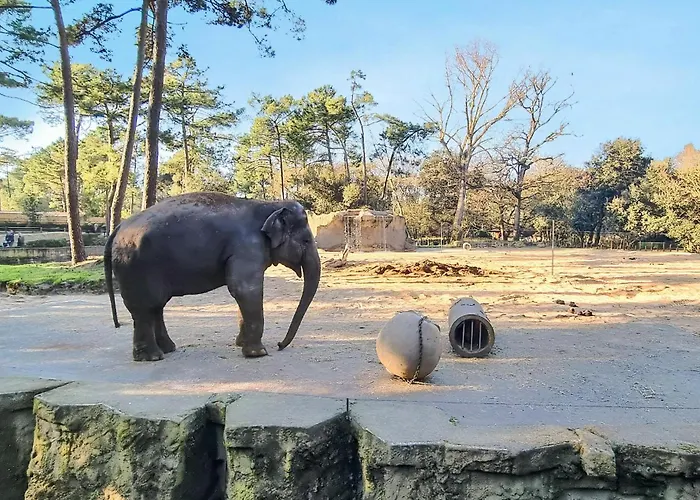 In Дом отдыха *